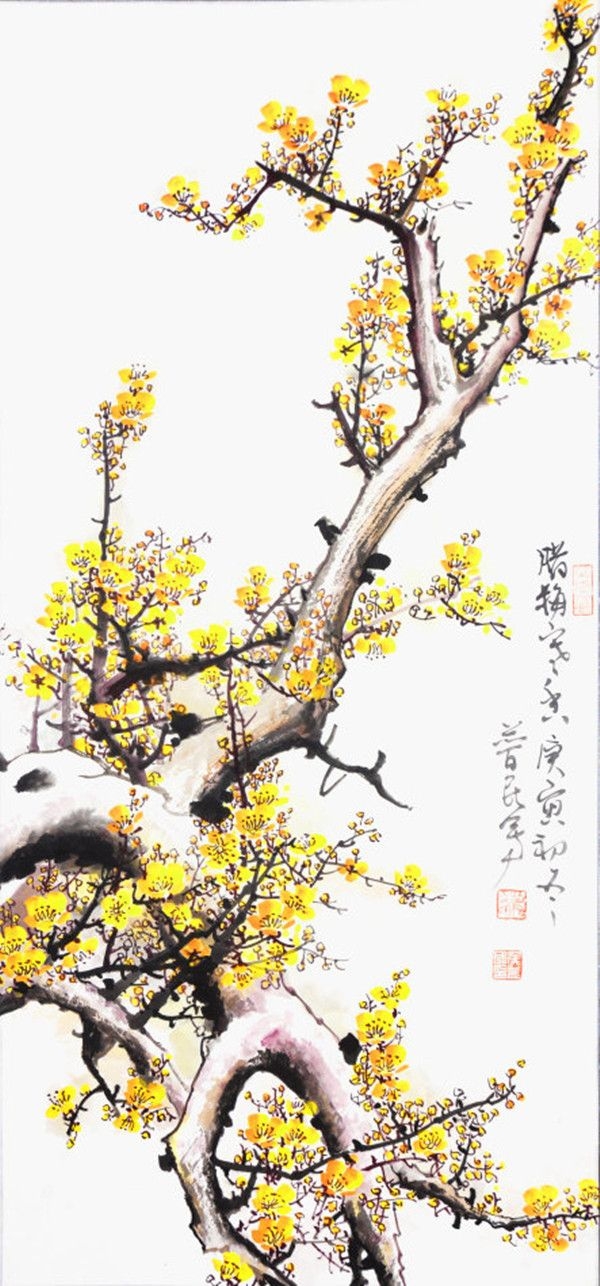 腊梅寒香